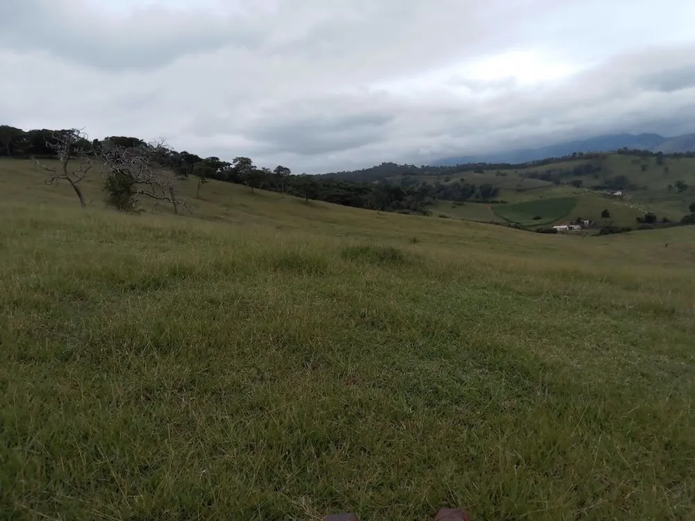 Fazenda, 130 hectares - Foto 13