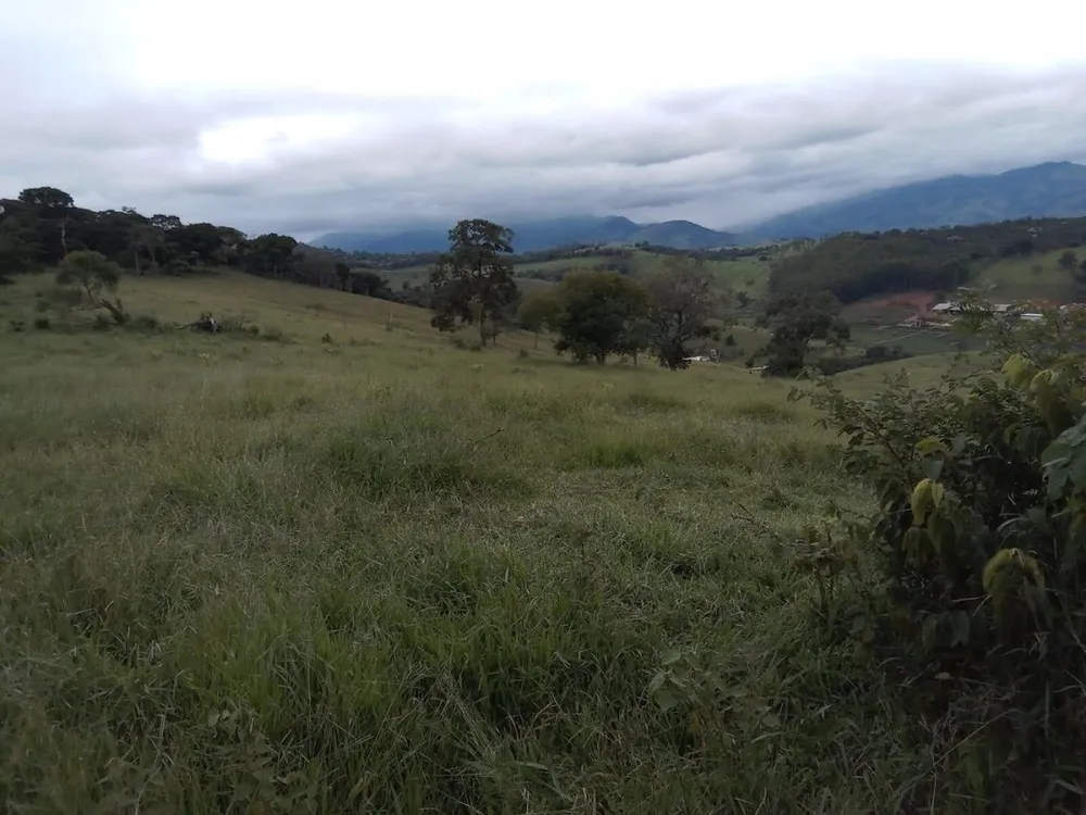 Fazenda, 130 hectares - Foto 4