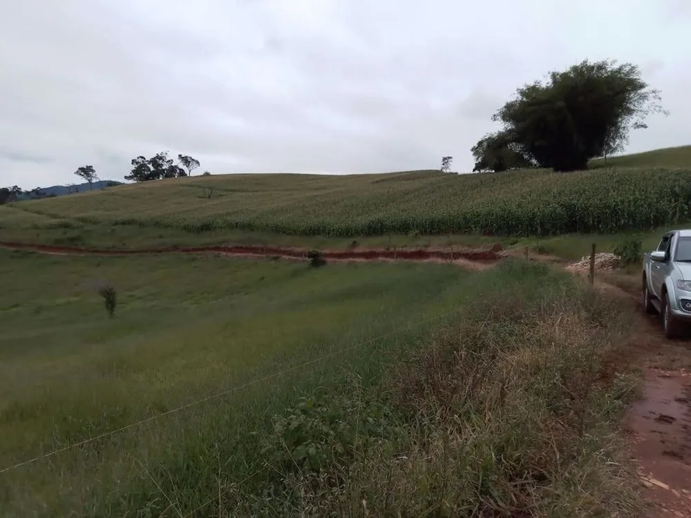Fazenda, 130 hectares - Foto 16