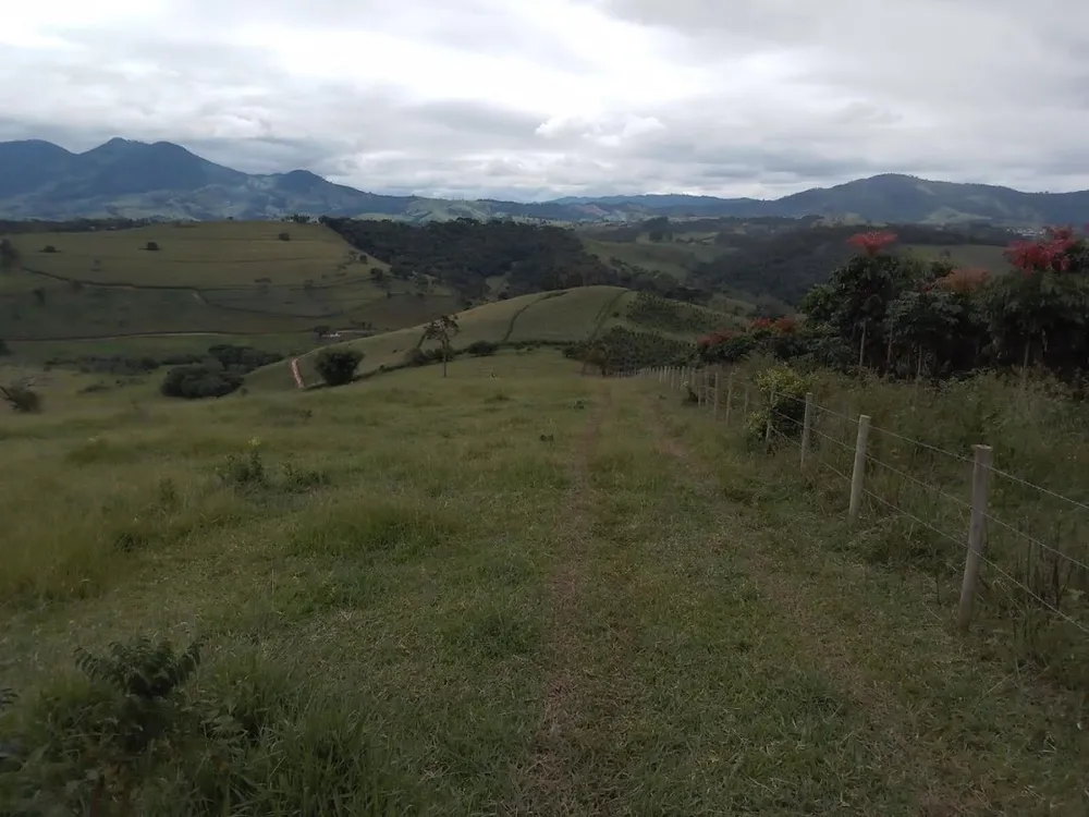 Fazenda, 130 hectares - Foto 2