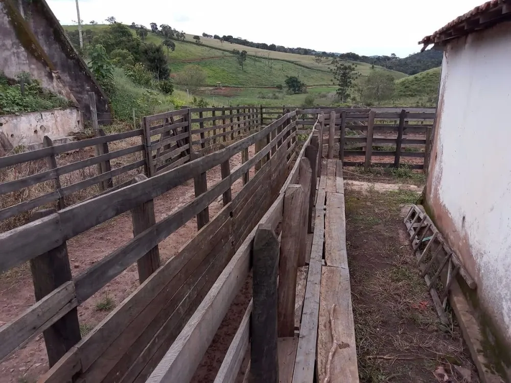 Fazenda, 130 hectares - Foto 11