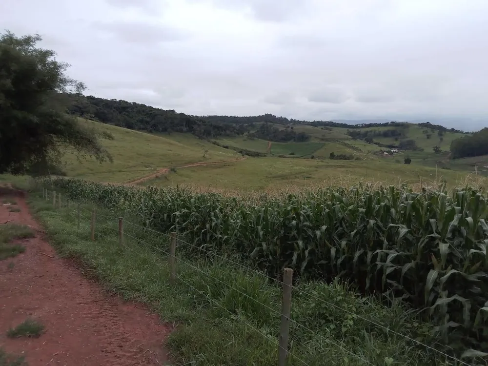 Fazenda, 130 hectares - Foto 15