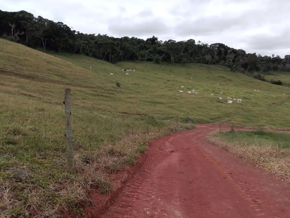 Fazenda, 130 hectares - Foto 17