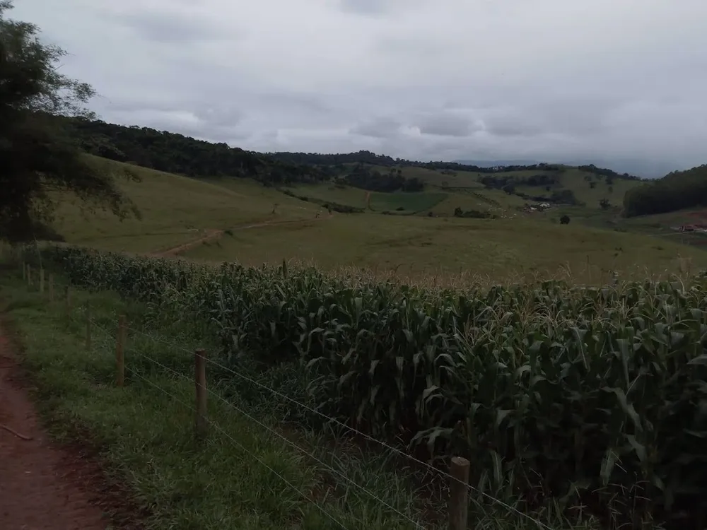 Fazenda, 130 hectares - Foto 7