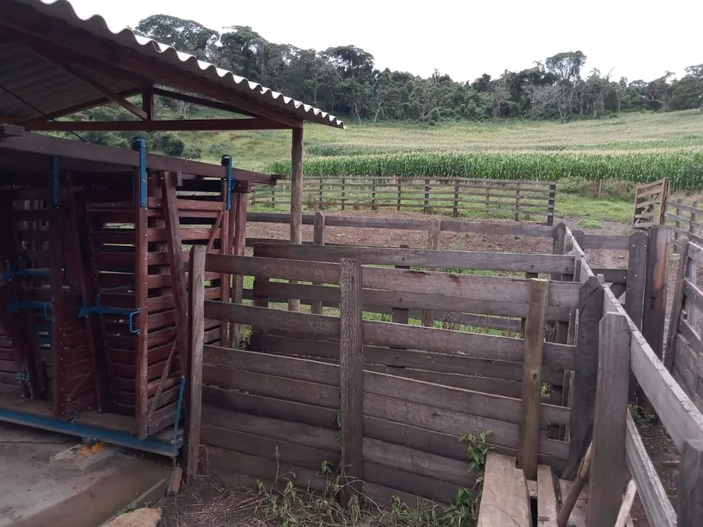 Fazenda, 130 hectares - Foto 10