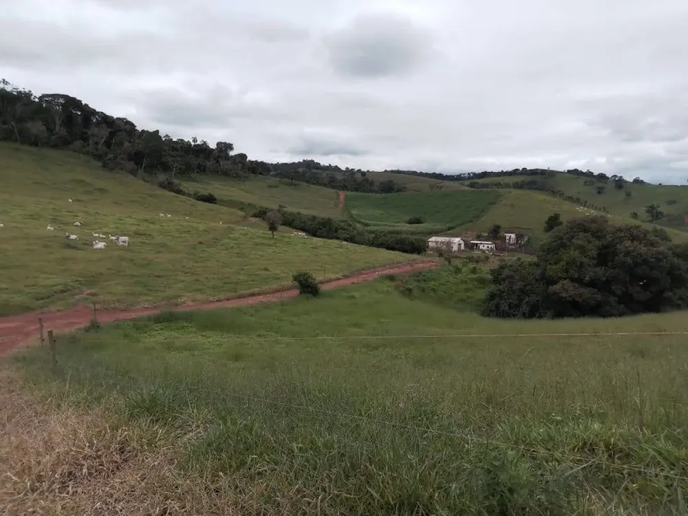 Fazenda, 130 hectares - Foto 20
