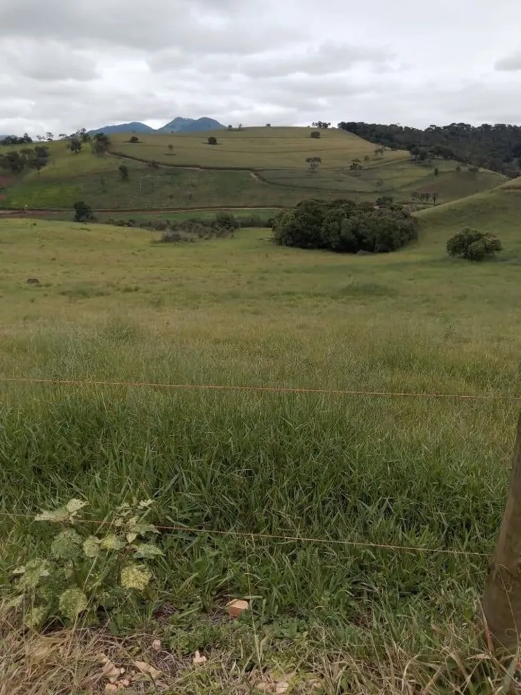 Fazenda, 130 hectares - Foto 18