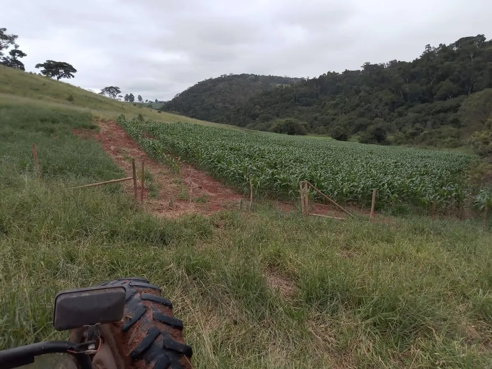 Fazenda, 130 hectares - Foto 6