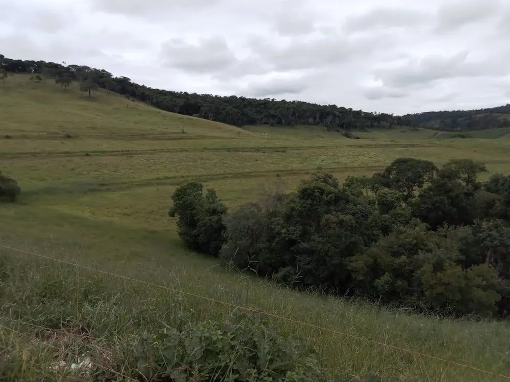Fazenda, 130 hectares - Foto 14