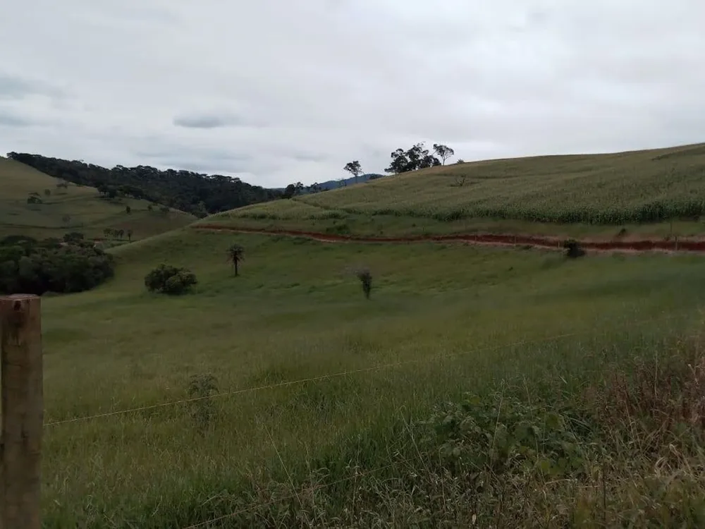 Fazenda, 130 hectares - Foto 8