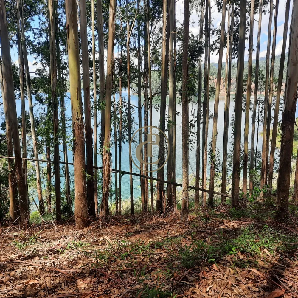Fazenda, 100 m² - Foto 4