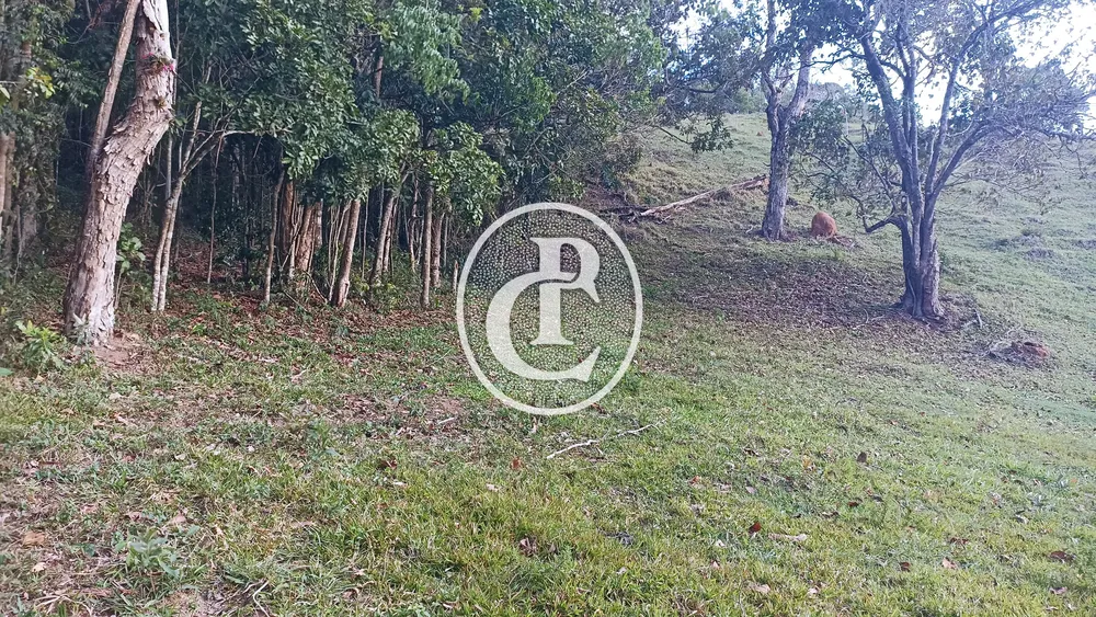 Terreno - Foto 6