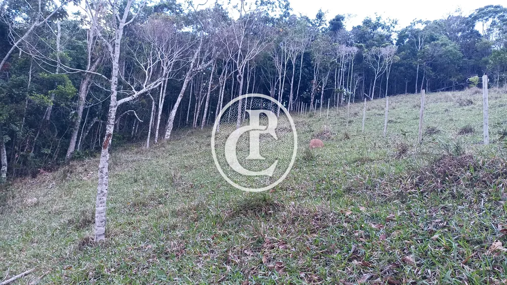 Terreno - Foto 3