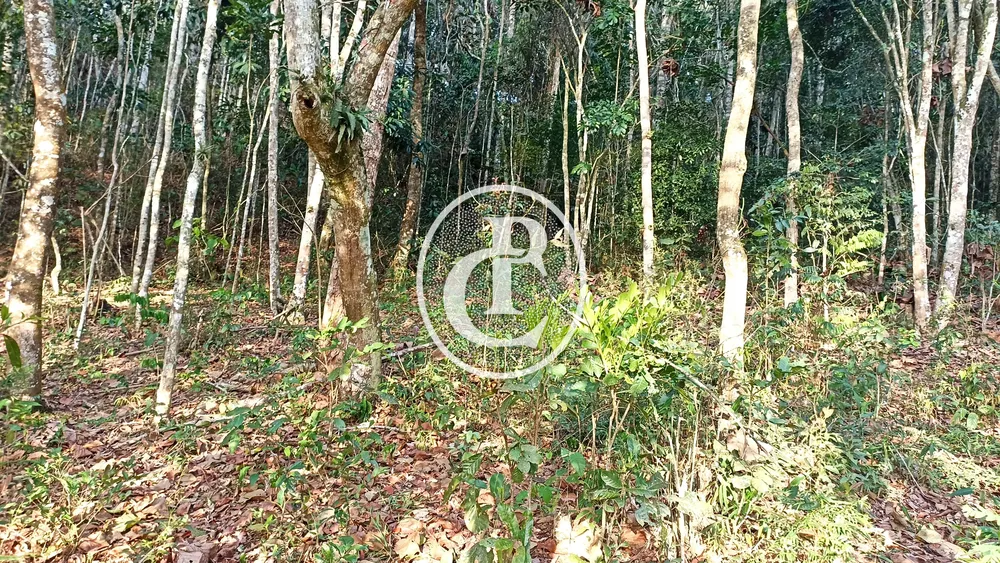 Terreno - Foto 7