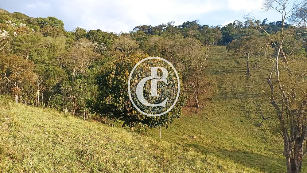 Terreno - Foto 11