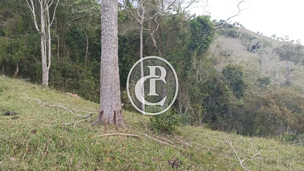 Terreno - Foto 10