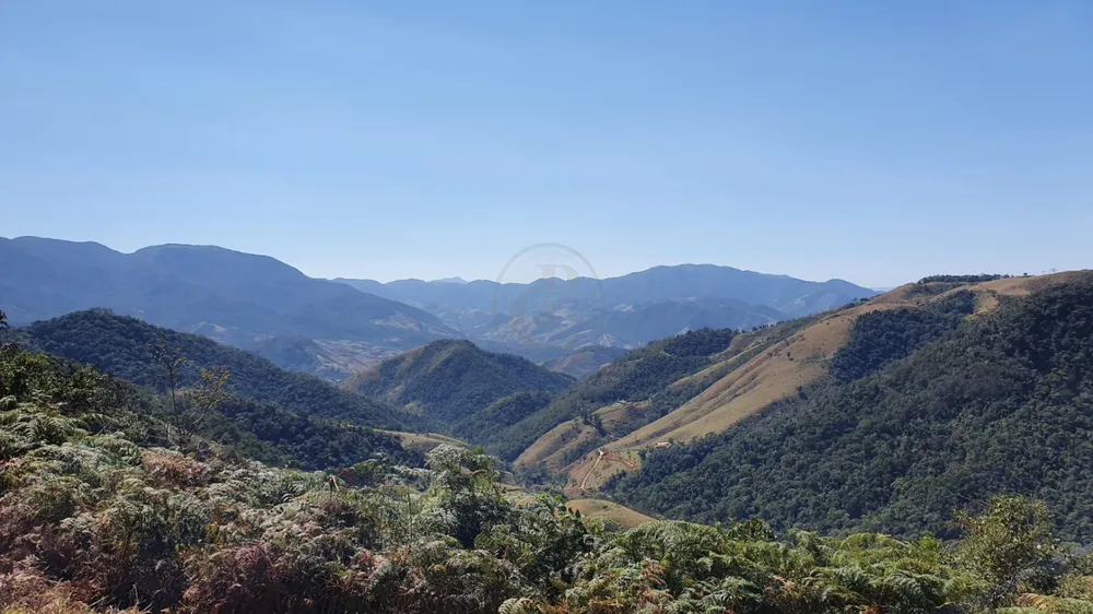 Terreno, 24 hectares - Foto 3