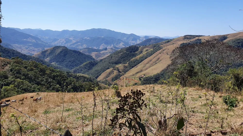 Terreno, 24 hectares - Foto 4