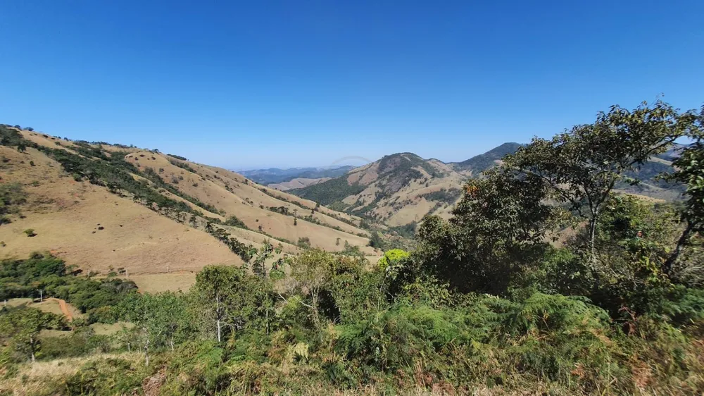 Terreno, 24 hectares - Foto 8