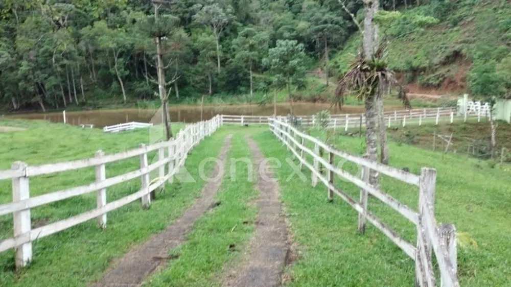 Sítio, 3 quartos, 22 hectares - Foto 8