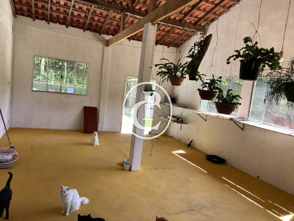 Chácara, 2 quartos, 5000 m² - Foto 8
