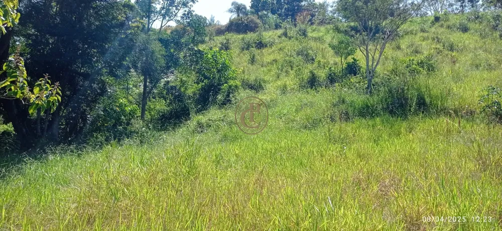 Terreno, 6 hectares - Foto 3