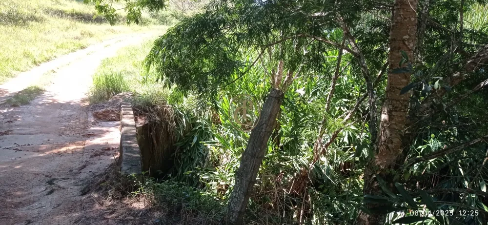 Terreno, 6 hectares - Foto 6