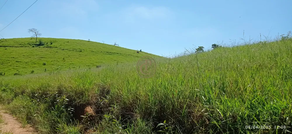 Terreno, 6 hectares - Foto 2
