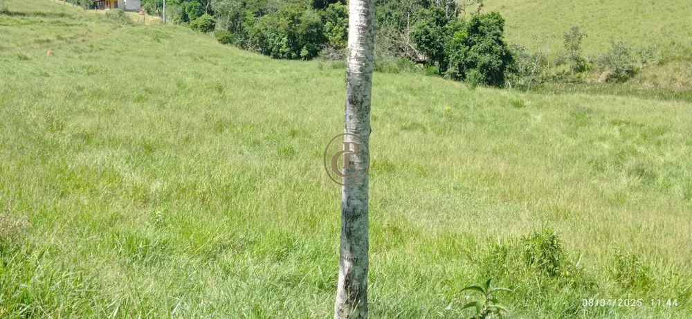 Terreno, 6 hectares - Foto 1