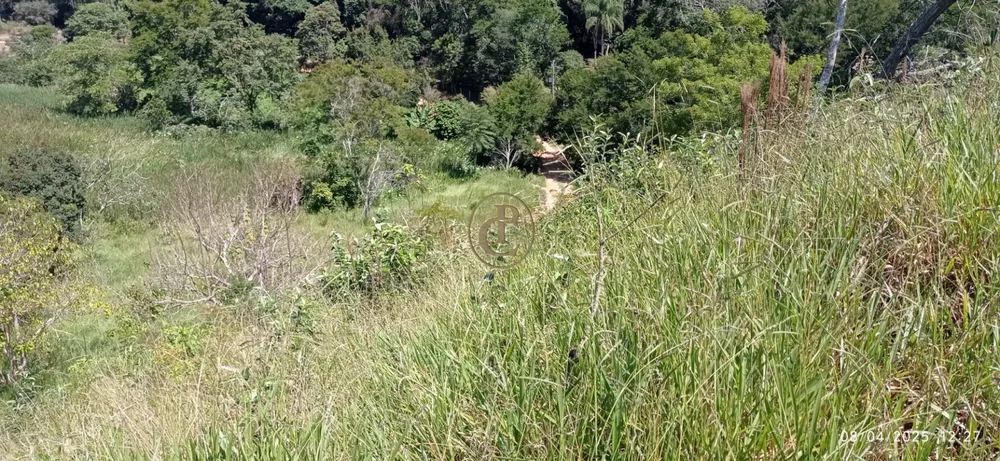 Terreno, 6 hectares - Foto 7