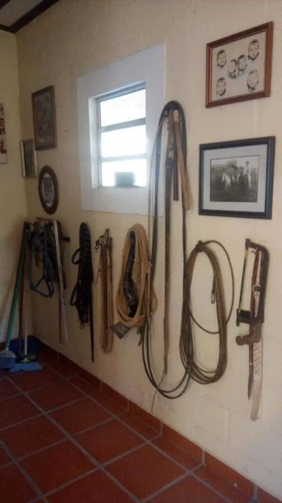 Sítio, 3 quartos, 100 m² - Foto 10