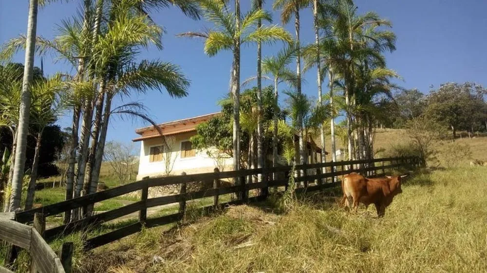 Sítio, 3 quartos, 100 m² - Foto 6
