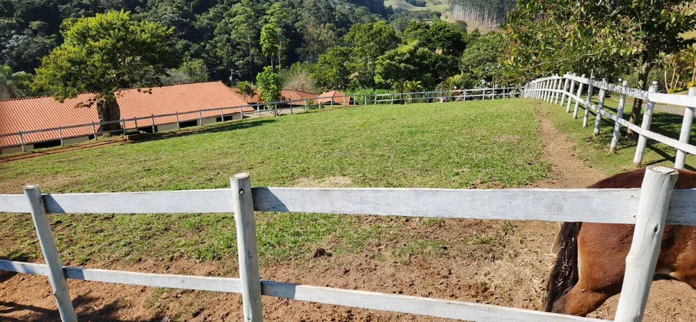 Sítio, 3 quartos, 300 m² - Foto 4