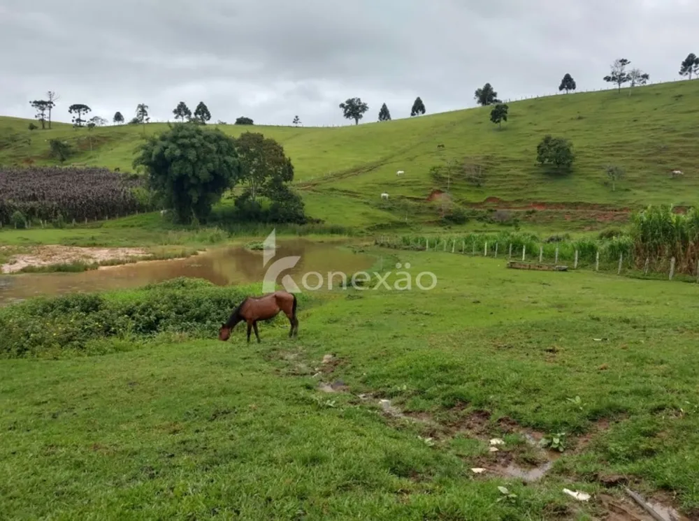 Fazenda, 150 m² - Foto 6