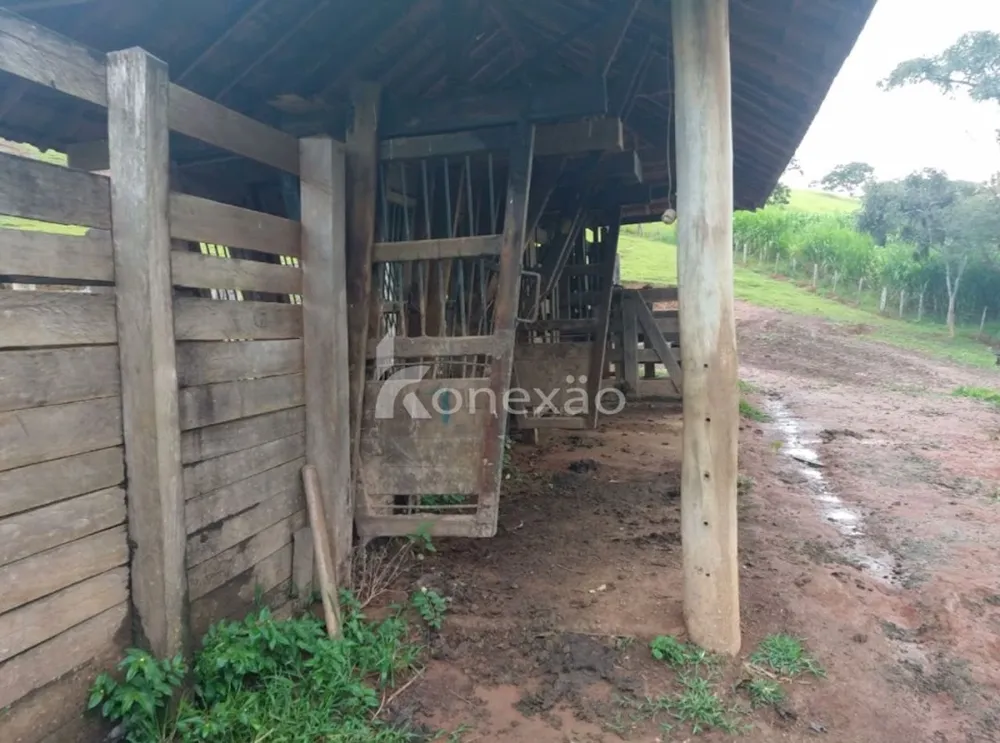Fazenda, 150 m² - Foto 14