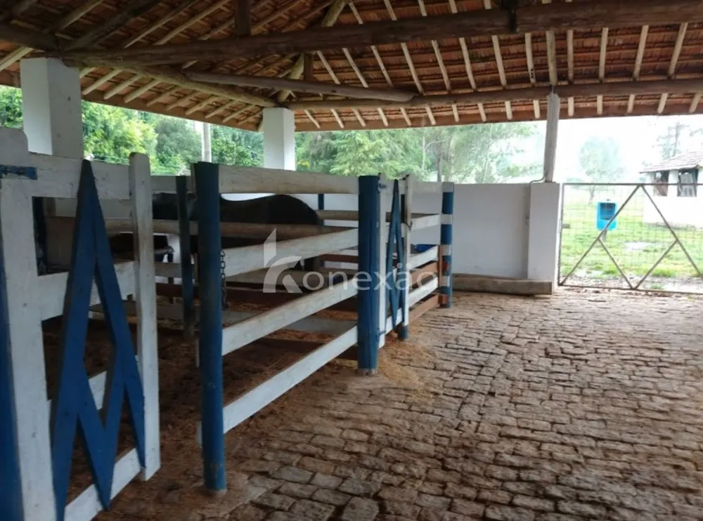 Fazenda, 150 m² - Foto 8