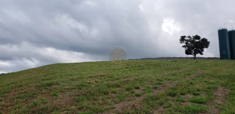 Terreno, 100 m² - Foto 6