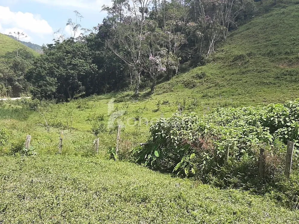 Fazenda, 600 m² - Foto 6