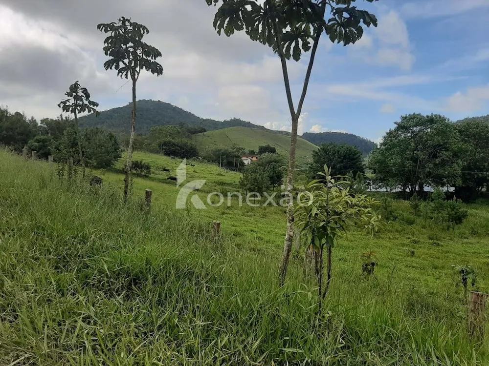 Fazenda, 600 m² - Foto 2