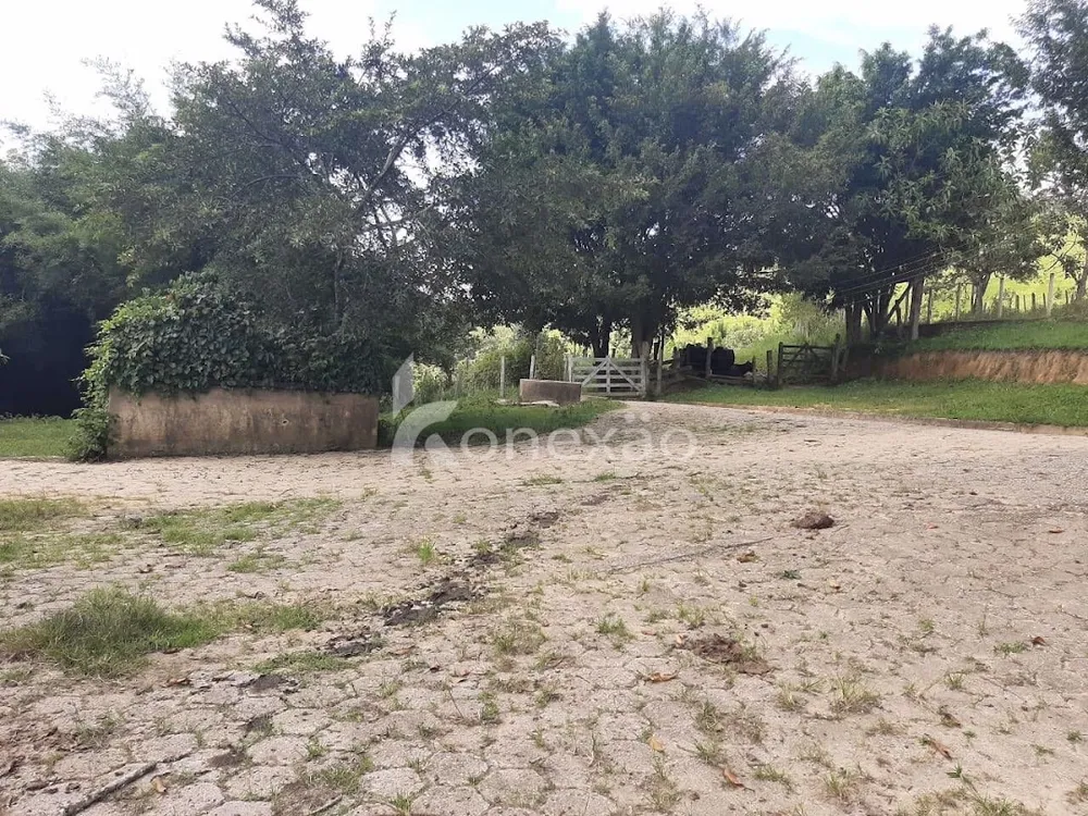 Fazenda, 600 m² - Foto 4