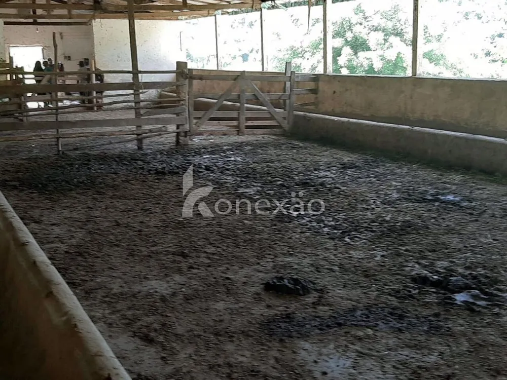 Fazenda, 600 m² - Foto 4
