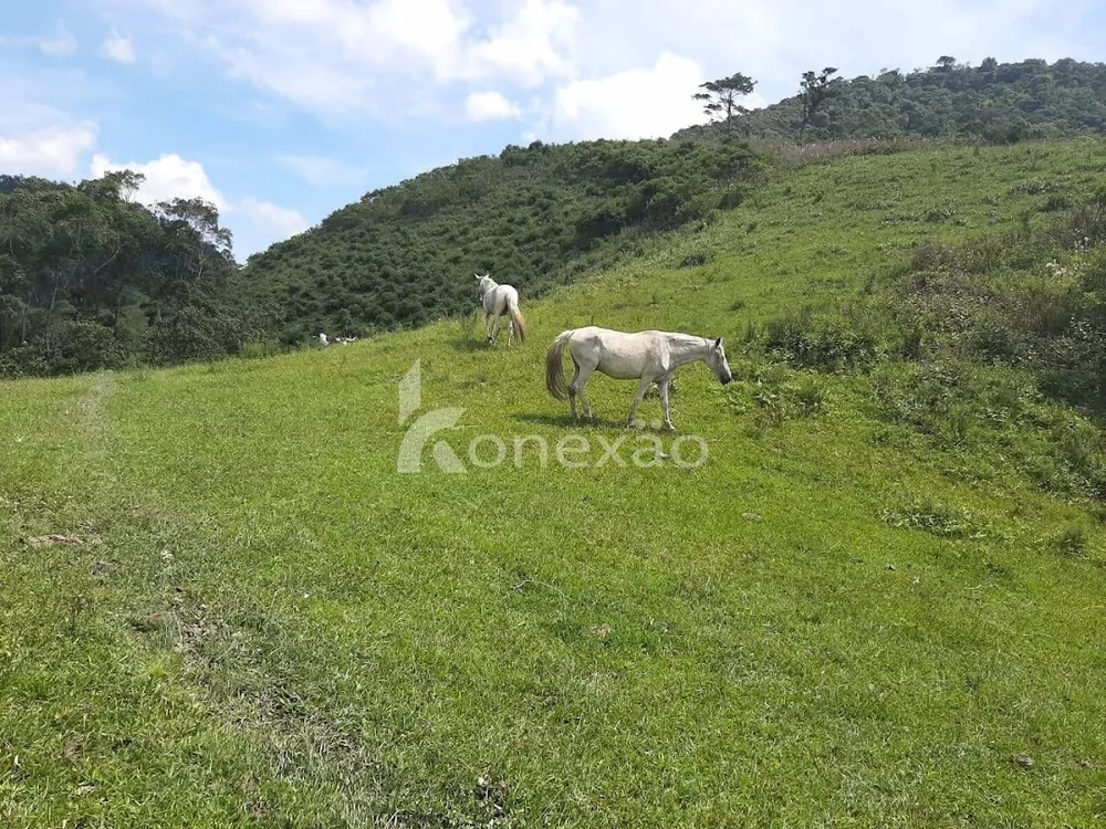 Fazenda, 600 m² - Foto 8
