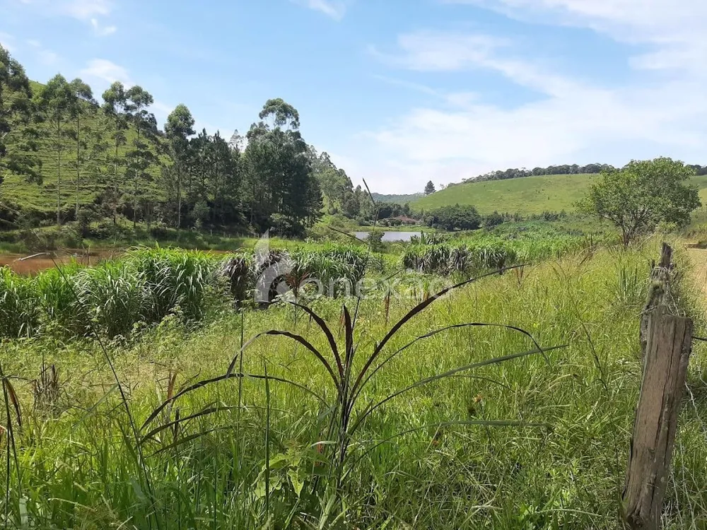 Fazenda, 600 m² - Foto 5