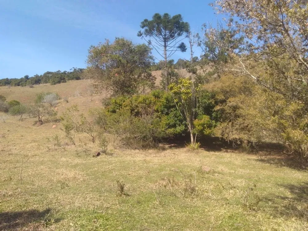 Sítio, 1 quarto, 100 m² - Foto 14