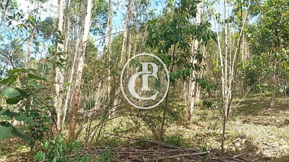Sítio, 1 quarto, 10 hectares - Foto 4