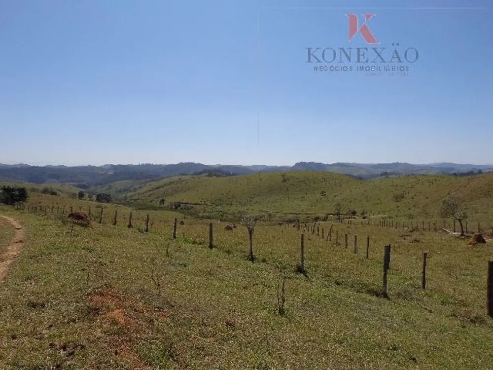 Fazenda, 305 hectares - Foto 6
