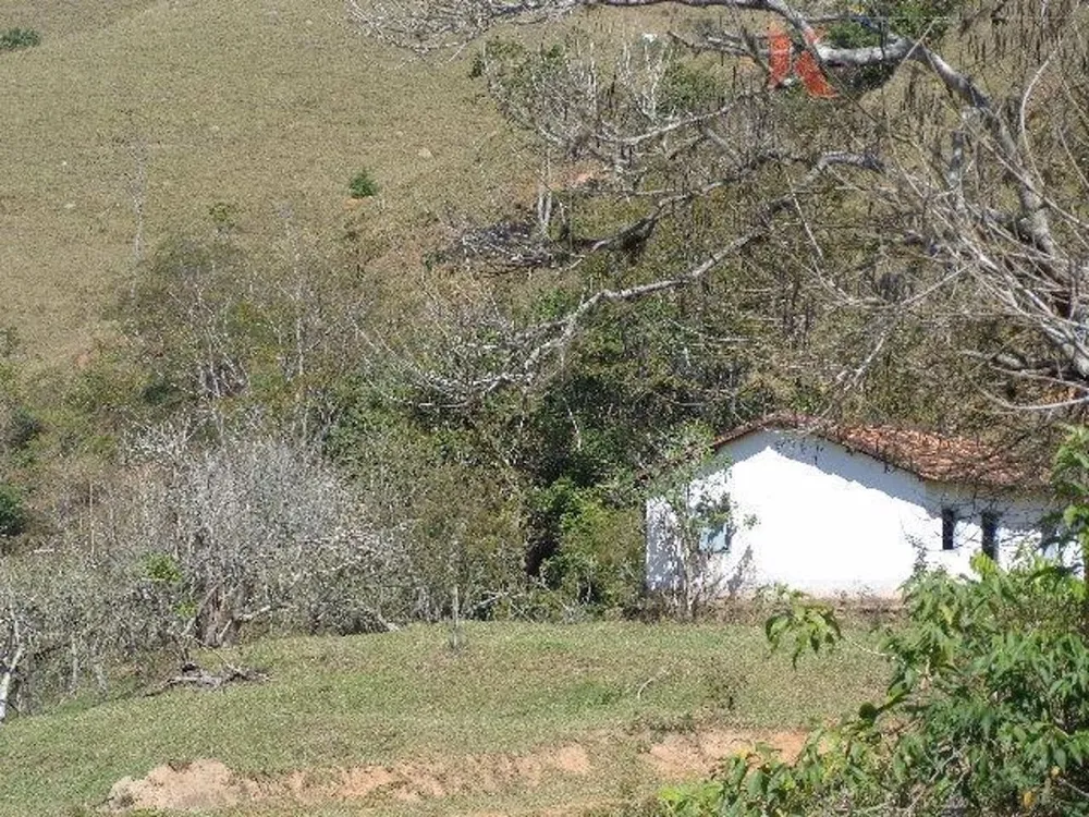 Fazenda, 305 hectares - Foto 10