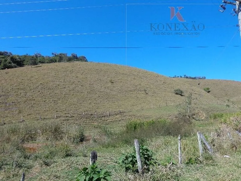 Fazenda, 305 hectares - Foto 7