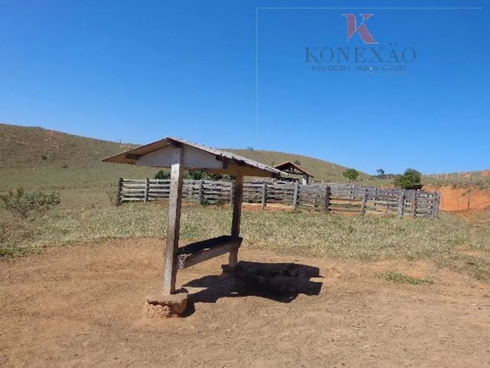 Fazenda, 305 hectares - Foto 12