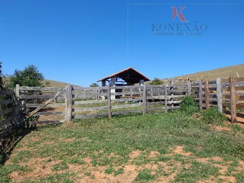 Fazenda, 305 hectares - Foto 8